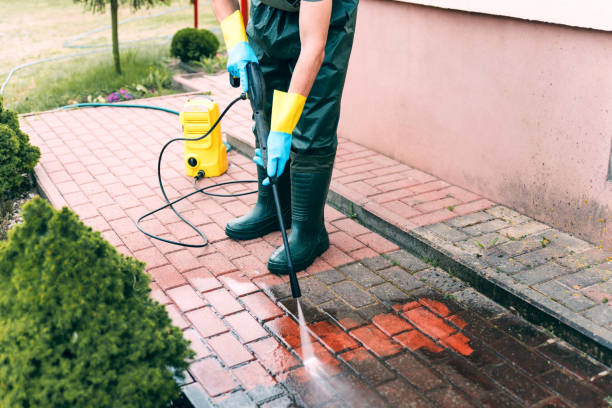 Best Solar Panel Cleaning  in Montvale, NJ